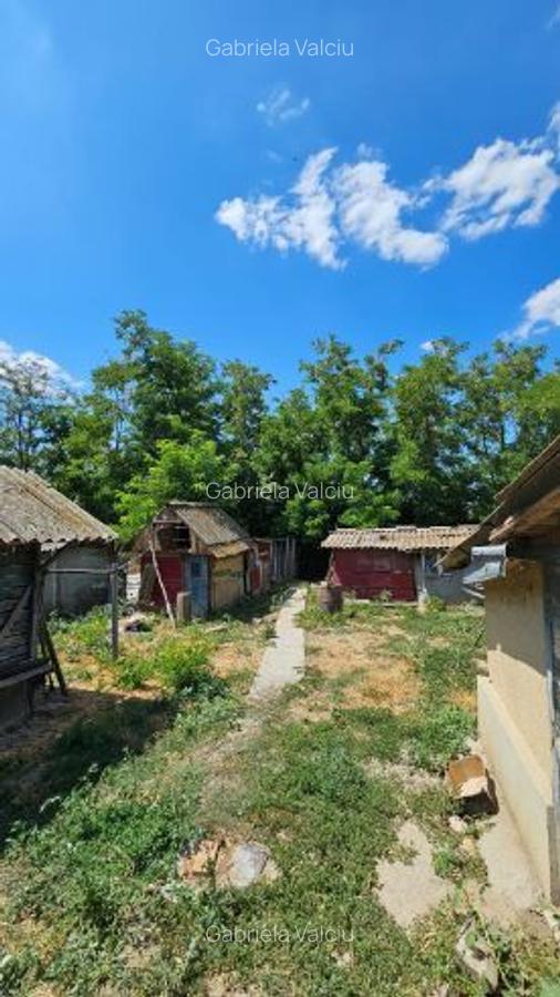 Casa la curte lângă balta Mostistea - 10