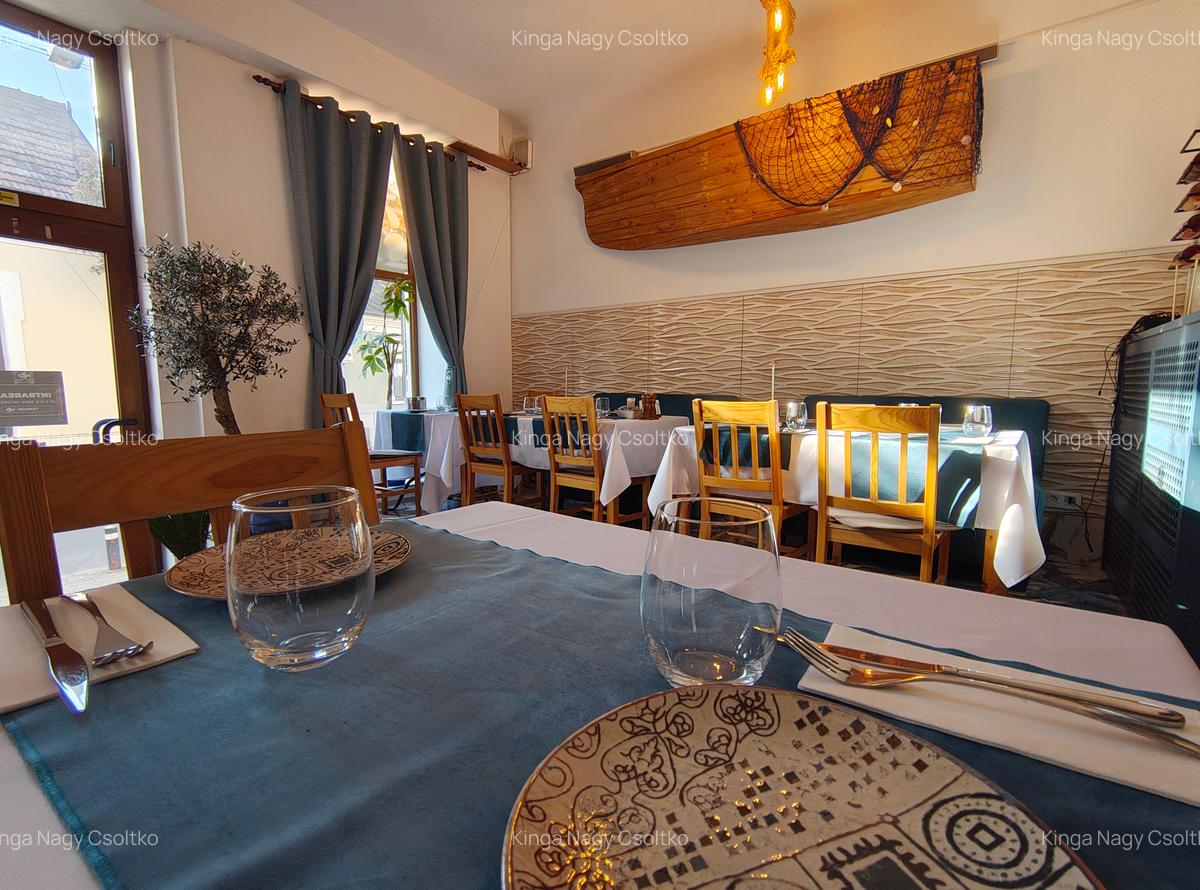 DE VÂNZARE – Spațiu de alimentație publică 53mp+111mp teren - 1