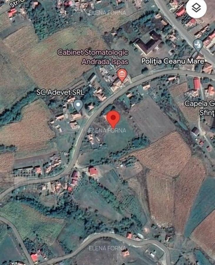 Teren Construcții intravilan de 8090 mp, în Ceanu Mare - 4