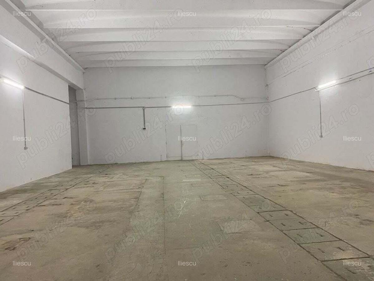 Spatiu SAD, Hala, depozit, Calea Aradului 246 - 486 mp - 7