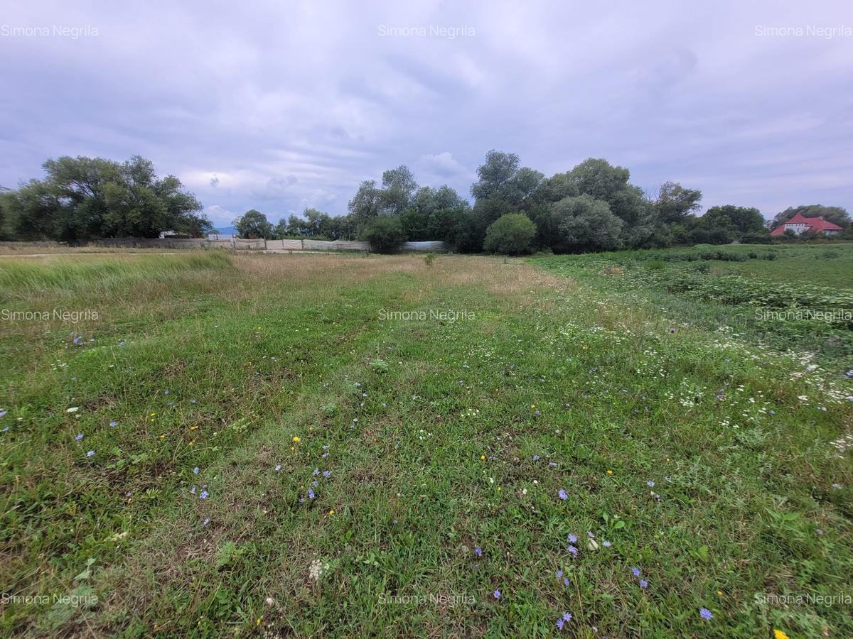 Teren intravilan 947mp, Sanpetru, Brasov - 8