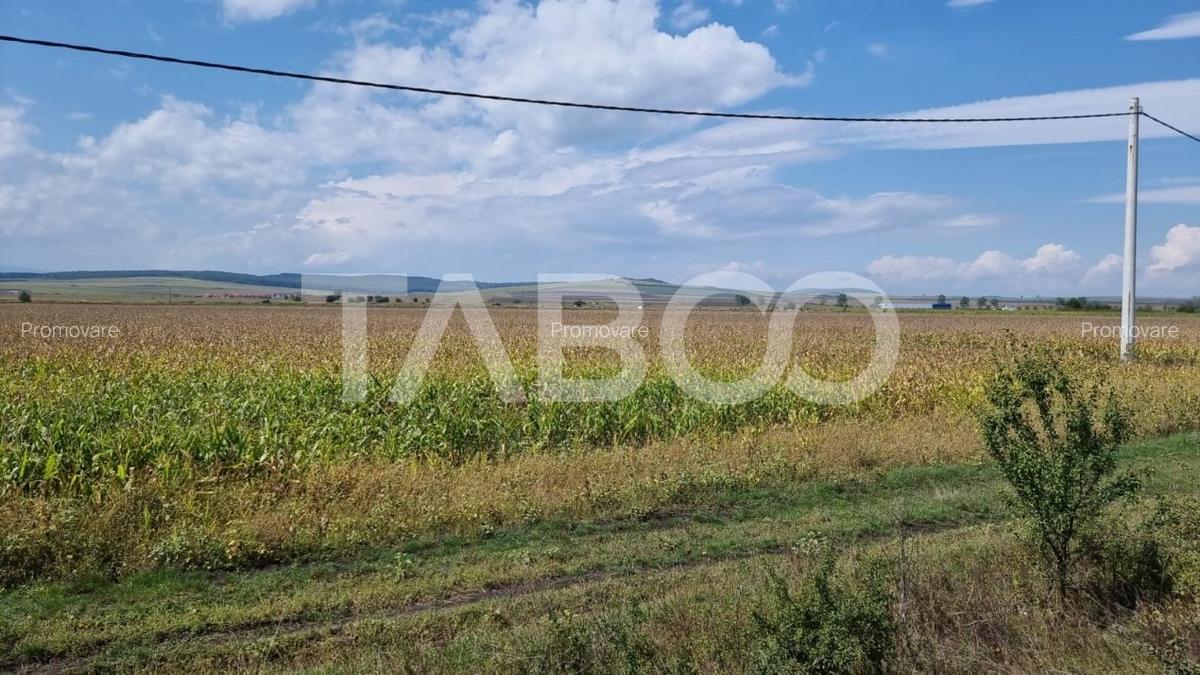 Oportunitate investitie 28000 mp in Sura Mica judetul Sibiu - 5