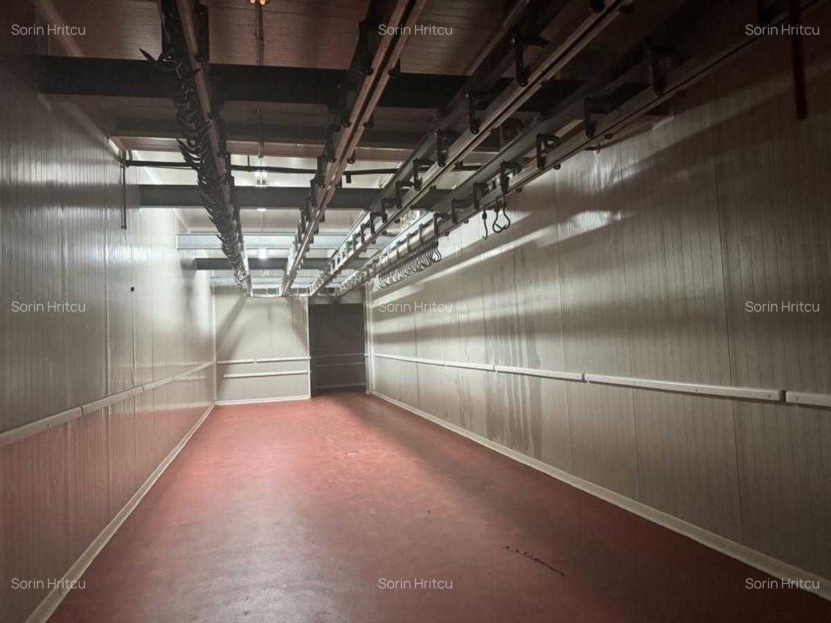 Spațiu industrial, 1270 mp în Dumbrăvița - 6