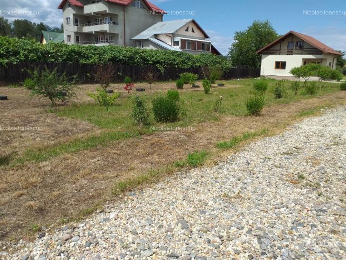 Teren vanzare 5000 mp + Casa vacanta - 2