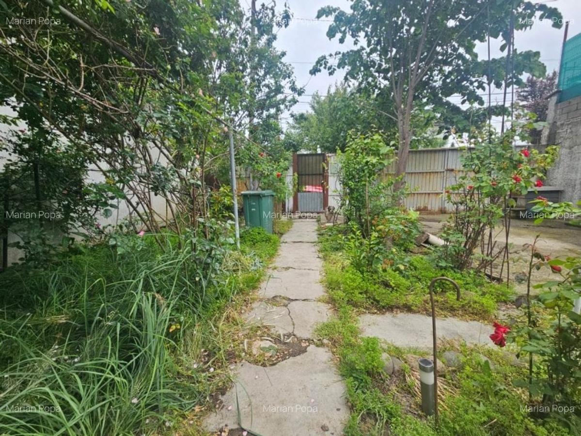 Vanzare casa individuala Bucurestii Noi - Laminorului - 6