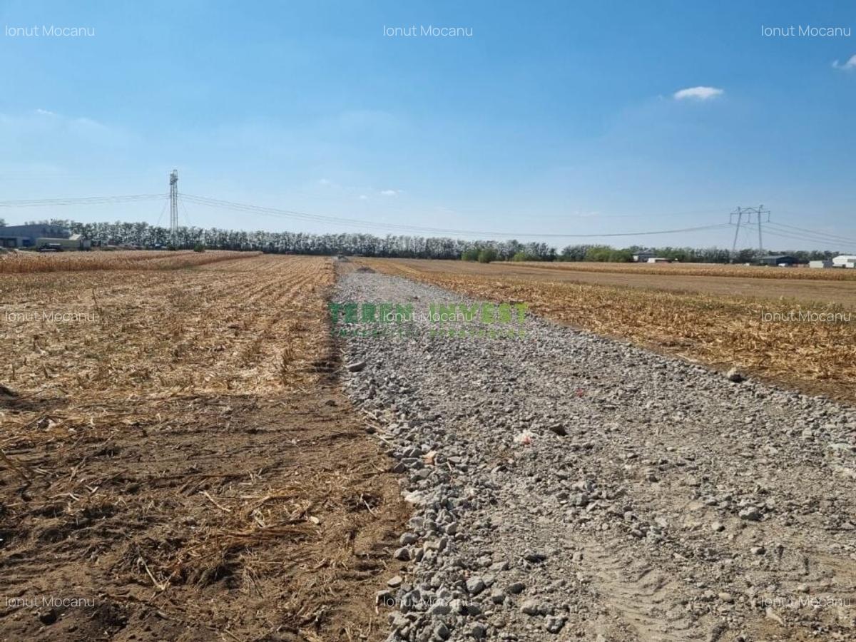 Teren industrial   Popesti, 10.800 m2, utilitati gaz si curent - 3