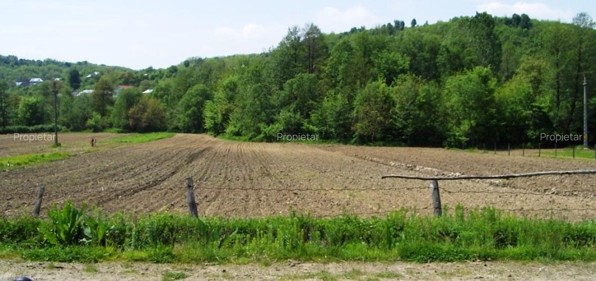 Vad 22000 mp INTRAVILAN BOGATI DJ702C jud Arges - 8