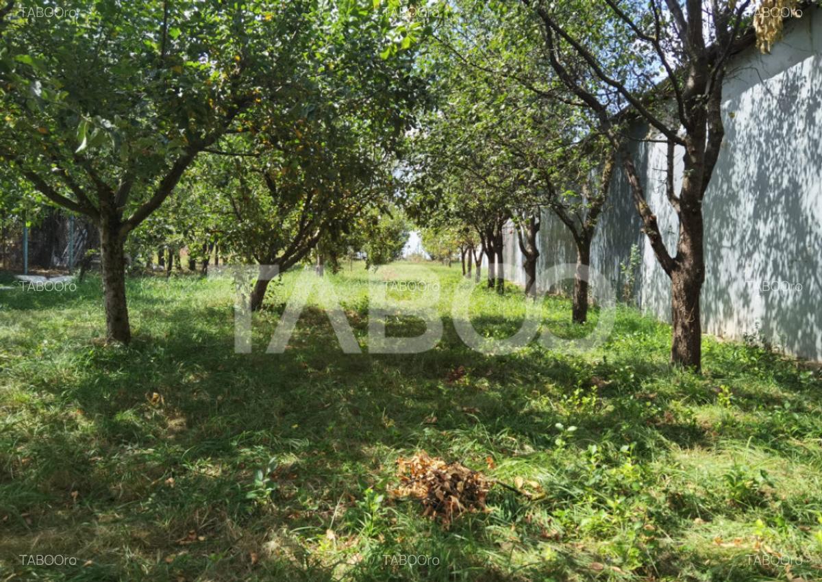 Teren intravilan de vanzare cu utilitati si puz in Poplaca - 1