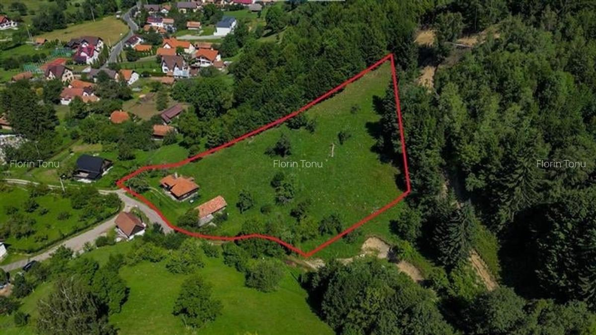 FILM! Proprietate autentica, Bran-Simon, 4.300 mp teren, casa traditionala + ane - 14