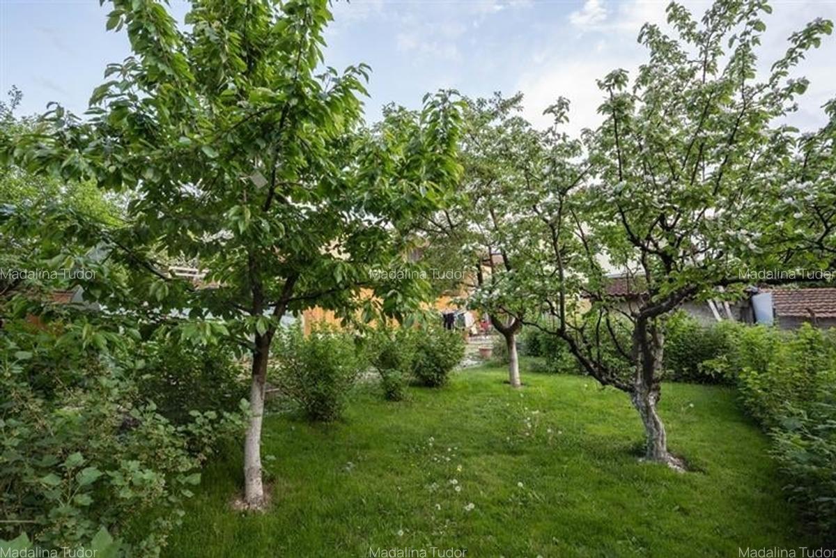 Casa individuala P+M , 5 dormitoare, 3 bai, 556 mp teren, Cernatu, Sacele - 2