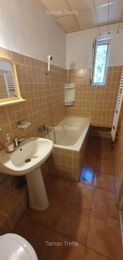 Vand in Tudor ap. 2 camere, decomandate,parter - 7