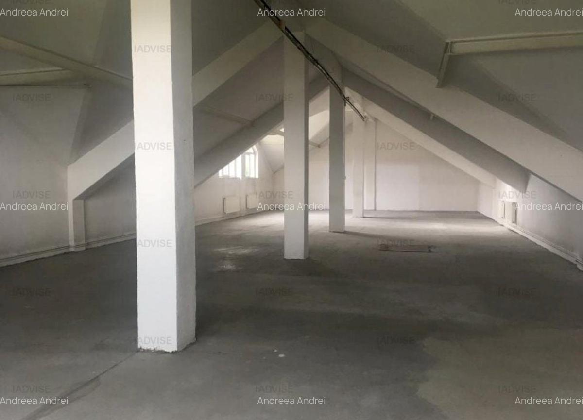 Spațiu industrial, 590 mp în Griviței - 3