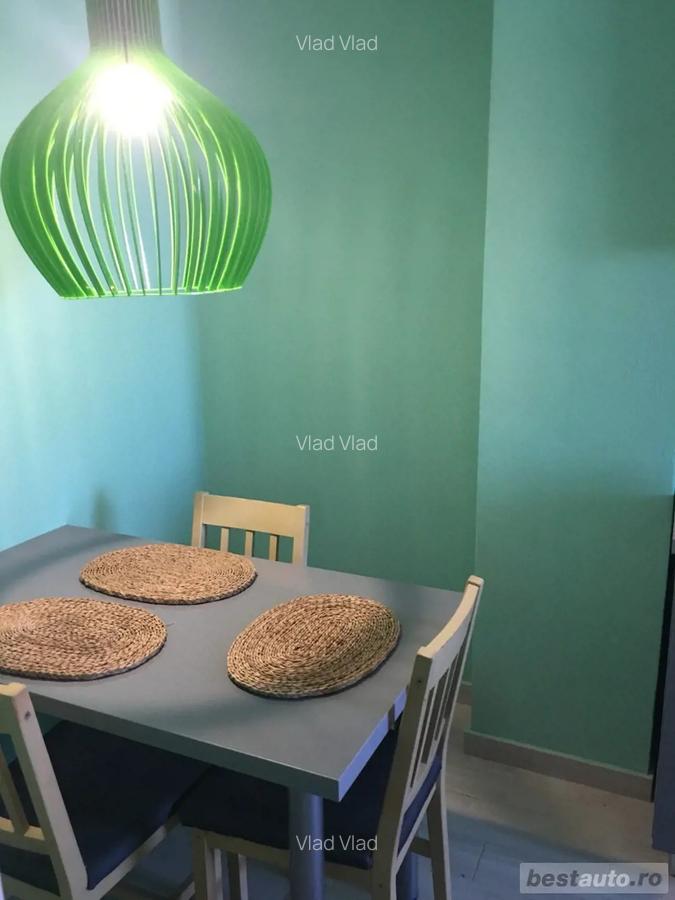 Malul Muresului,2 cam de inchiriat - 3