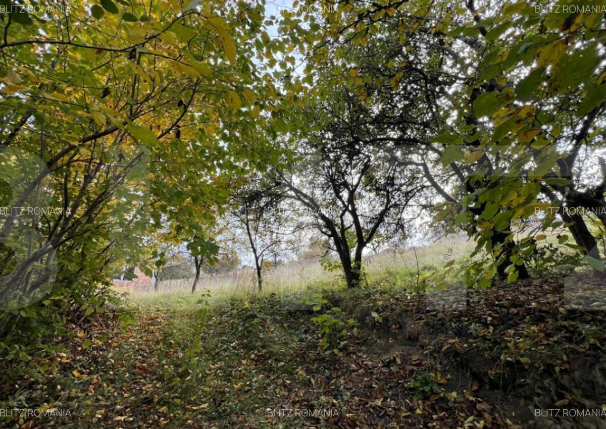 Teren spre vanzare pentru constructie casa in Feleacu. - 1