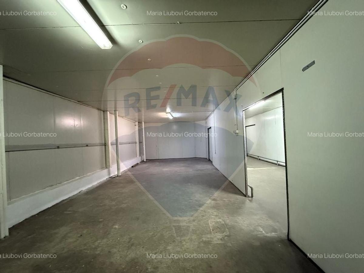 Spatiu industrial de inchiriat Pantelimon | Congelator | Refrigerat - 1