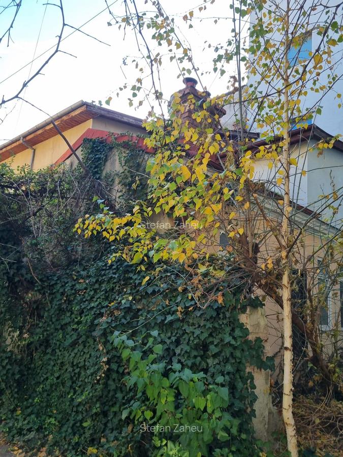 Casă pe parter, poziție premium – perfectă pentru investiție sau birou - 3