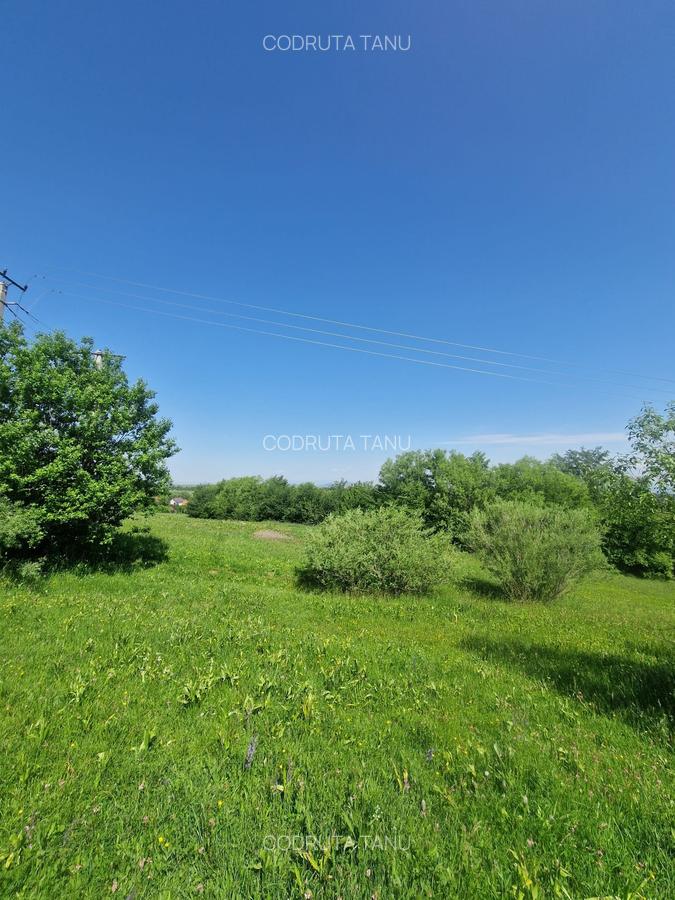 Teren intravilan – 3.101 mp, Tărlungeni, Brașov – ideal pentru casă de vacanta - 14