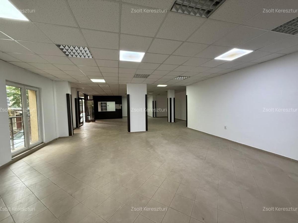 Inchiriere spatiu comercial Marasti zona FSEGA, 196 mp - 2