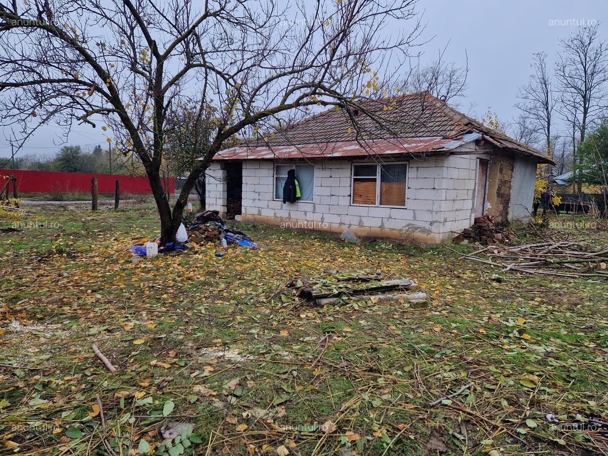 Dor Marunt, Calarasi - 5