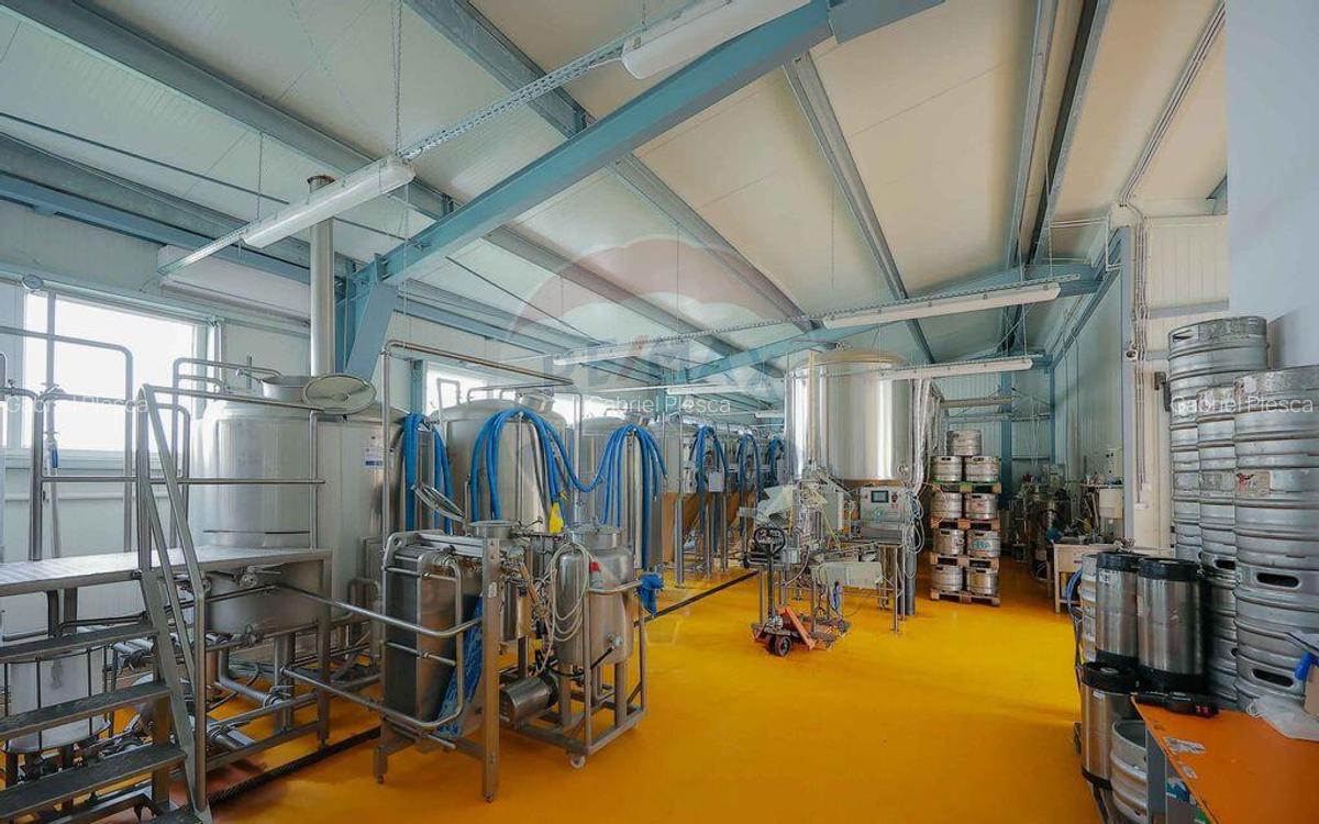 Hala industriala, Parcul Industrial Bor? II, De Vanzare - 10