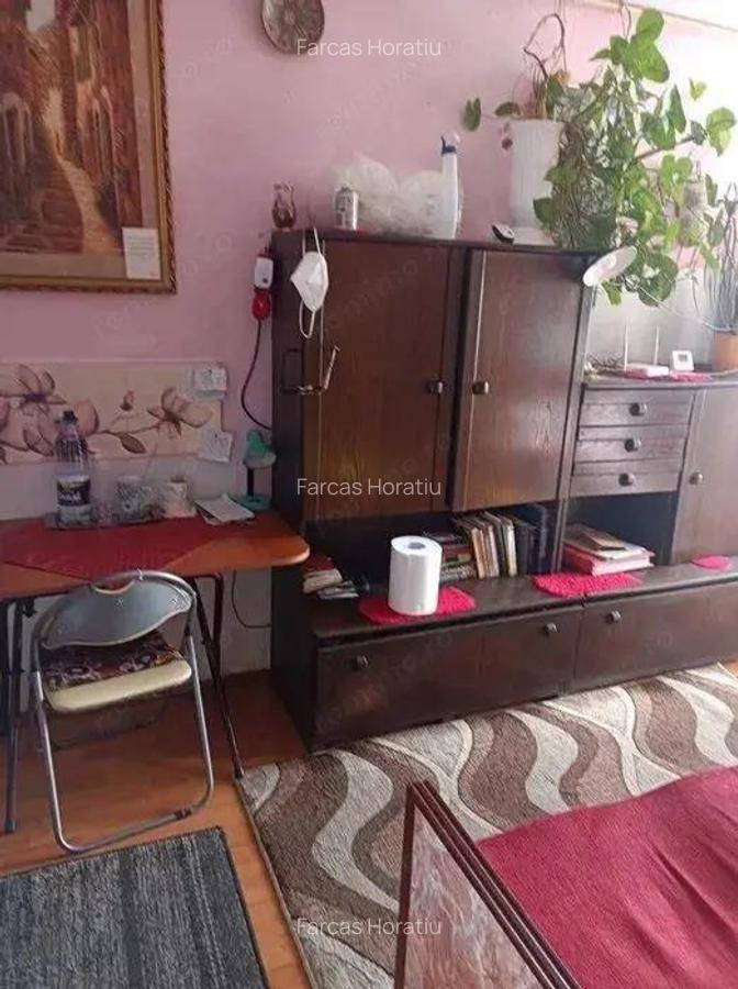 Mureseni - Vanzare apartament 1 camera - Str. Cugir - 3