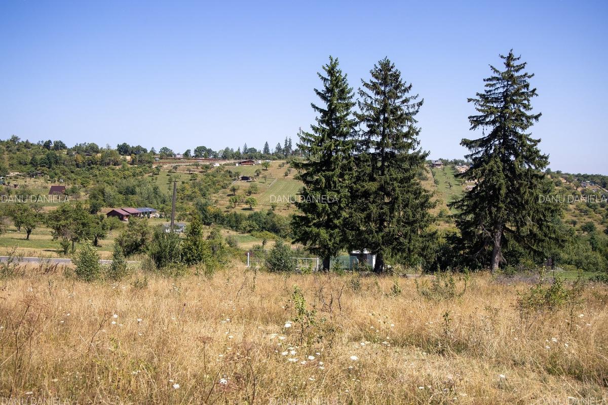 Comision0%Teren 4200 mp Vulcan Brașov – ideal casă de vacanță / turism - 16