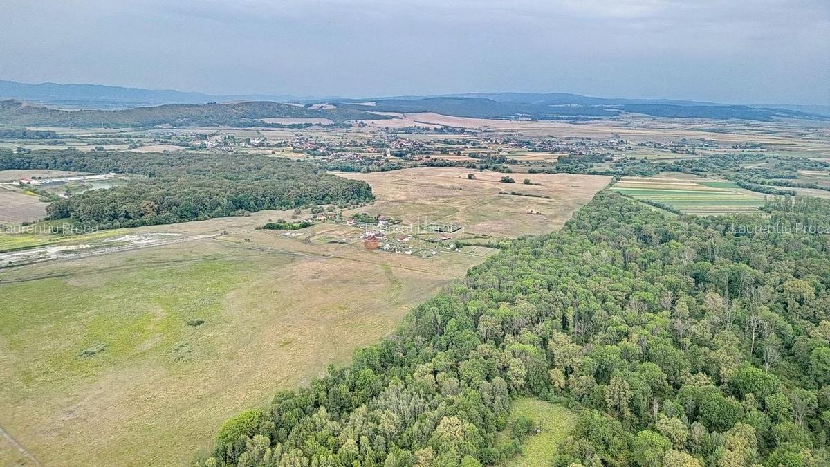 Teren Construcții extravilan de 22700 mp, în Hărman - 14