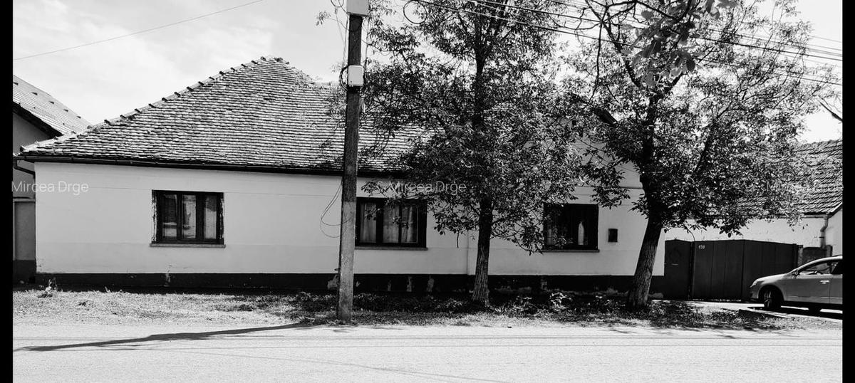 CASA CU TEREN  DE 3.000 MP IN LOCALITATEA GIARMATA LA 195.000 EURO - 3 CASA CU TEREN  DE 3.000 MP IN LOCALITATEA GIARMATA LA 195.000 EURO - 3