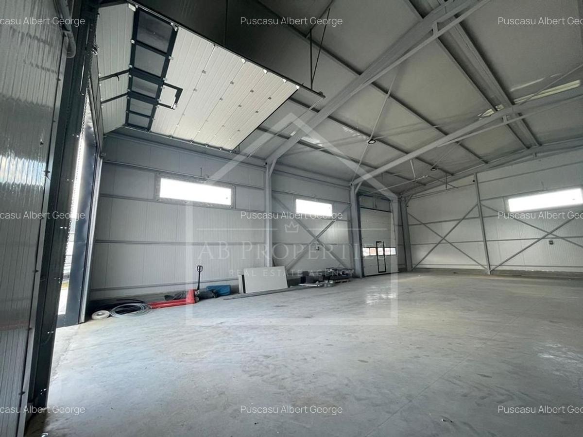 HALA  depozit/hala/spatiu industrial 2025, CHITILA - TOP DEAL - 12