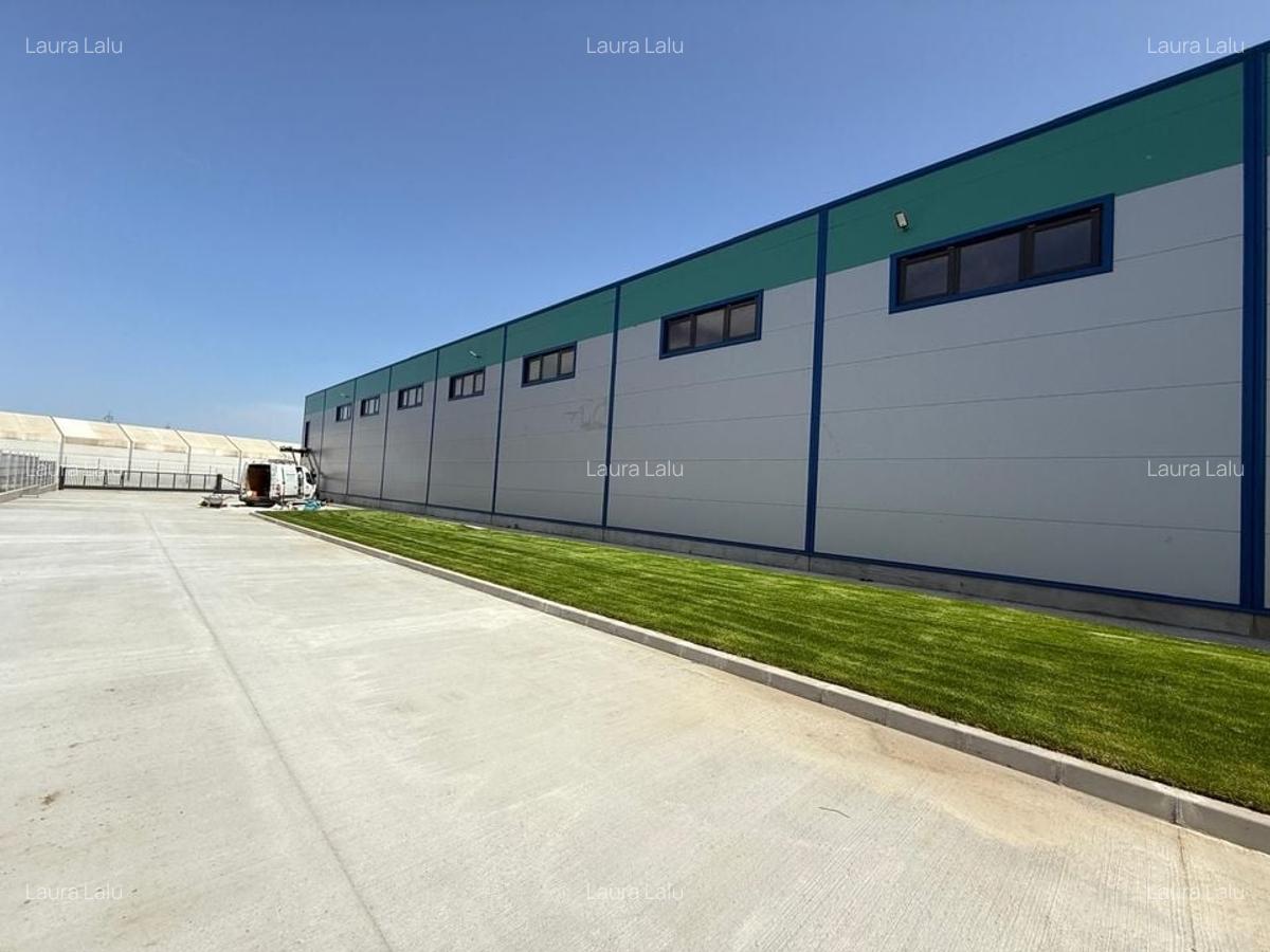 Hale Industriale Noi de Vânzare în Popești-Leordeni - Sos. Oltenitei - 3