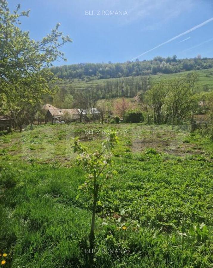 Casa de vanzare, 3 camere, 80 mp, comuna Spermezeu - 6