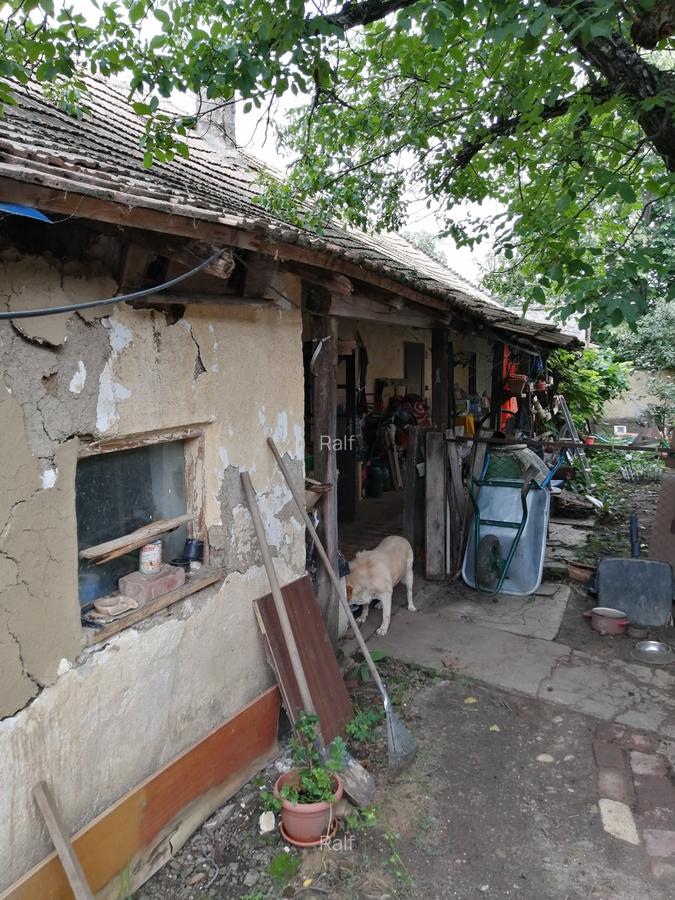 De vanzare teren intravilan, în vatra satului, cu casa veche demolabila, 903 mp - 5