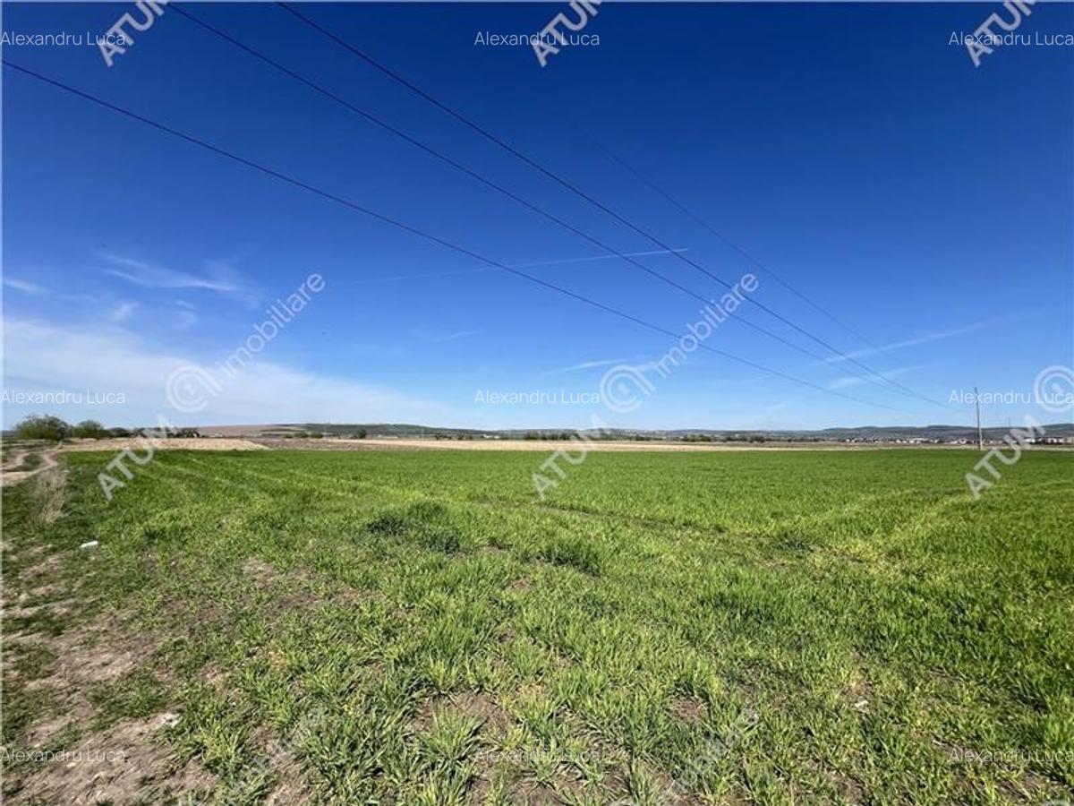 Teren intravilan de 16130 mp situat in Sibiu zona Calea Surii Mici - 1