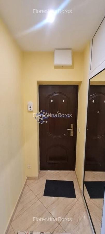 Apartament cu o camera, etaj 2, Tatarasi, 400 euro - 5