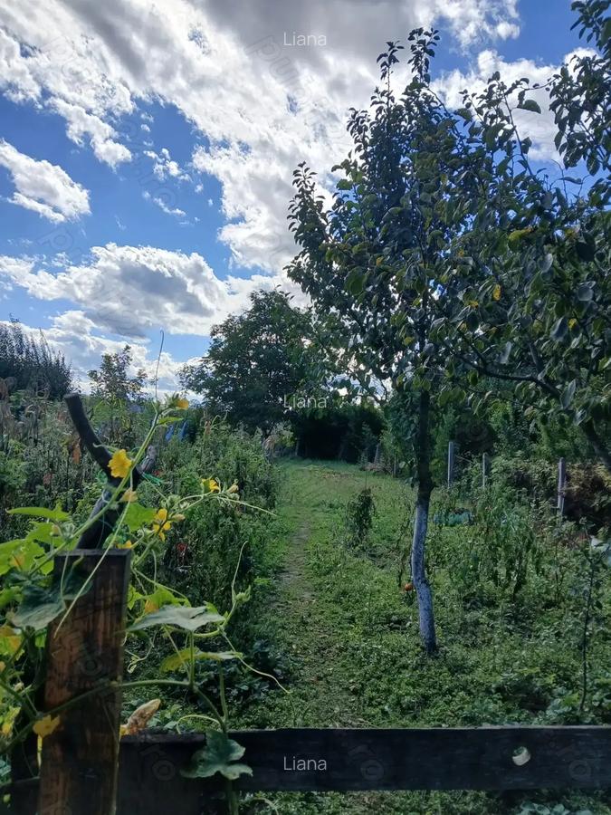 Casa de vanzare - 7 Casa de vanzare - 7