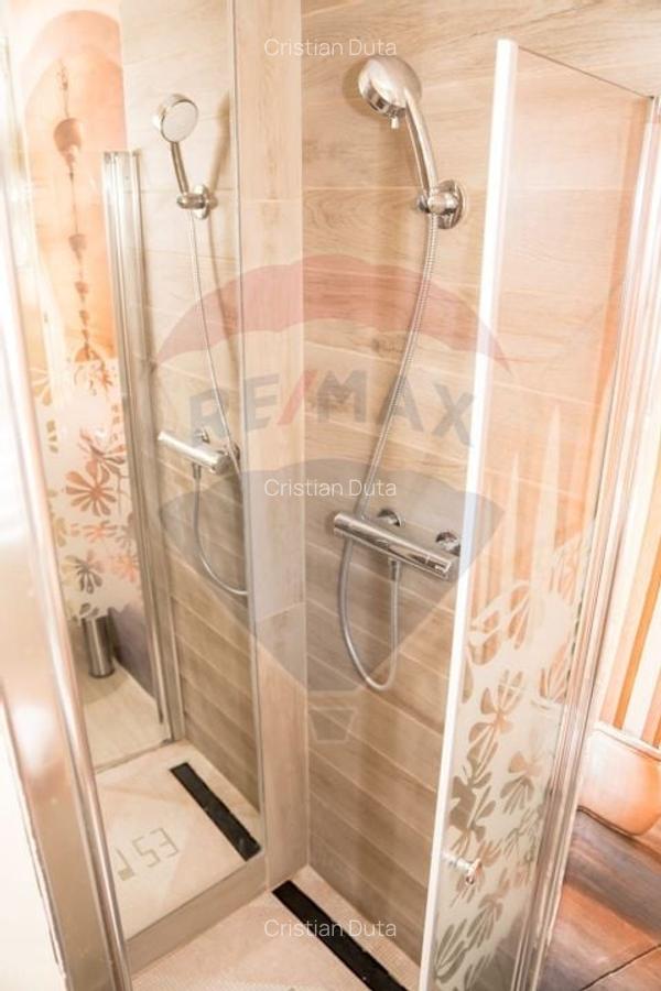 Apartament cu 2 camere de inchiriat in zona Ferdinand - 13