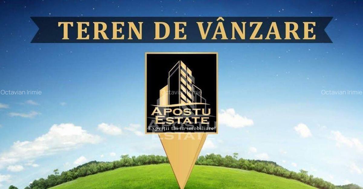 Teren industrial zona nod rutier autostrada Timisoara- Be... - 1