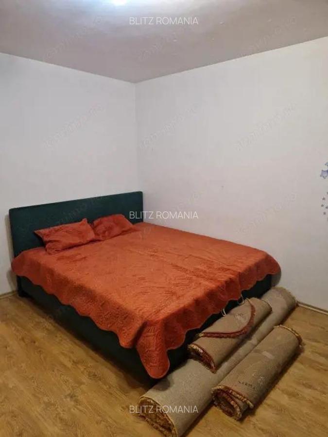 Garsoniera 35 mp Brazda lui Novac Pet Friendly - 5