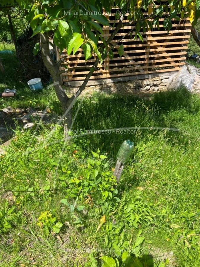 Teren intravilan de 1740 mp cu constructie in Provita de Sus-PH. Casa gratis! - 35