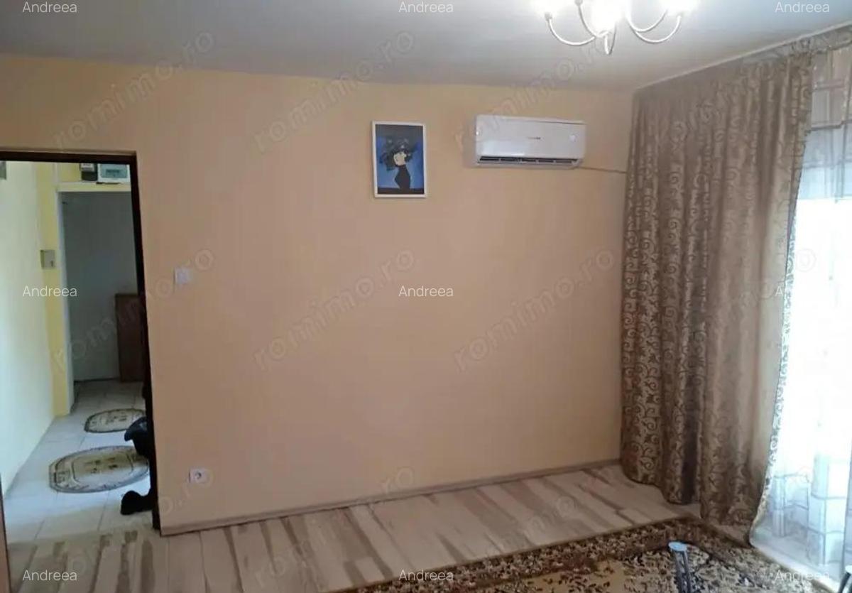 Apartament 2 camere centrala proprie Zona Sagului Ana Ipatescu - 2