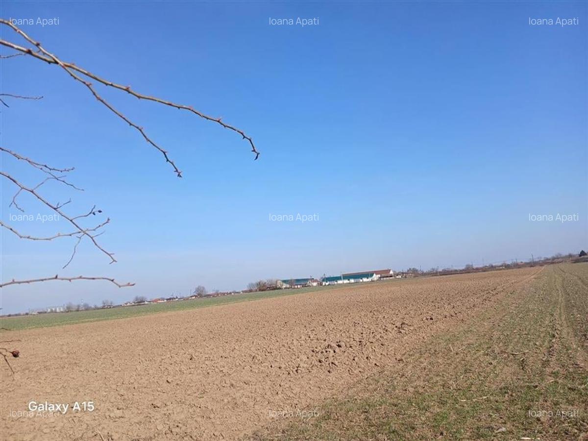 Teren Construcții intravilan de 10000 mp, în Biharia - 6