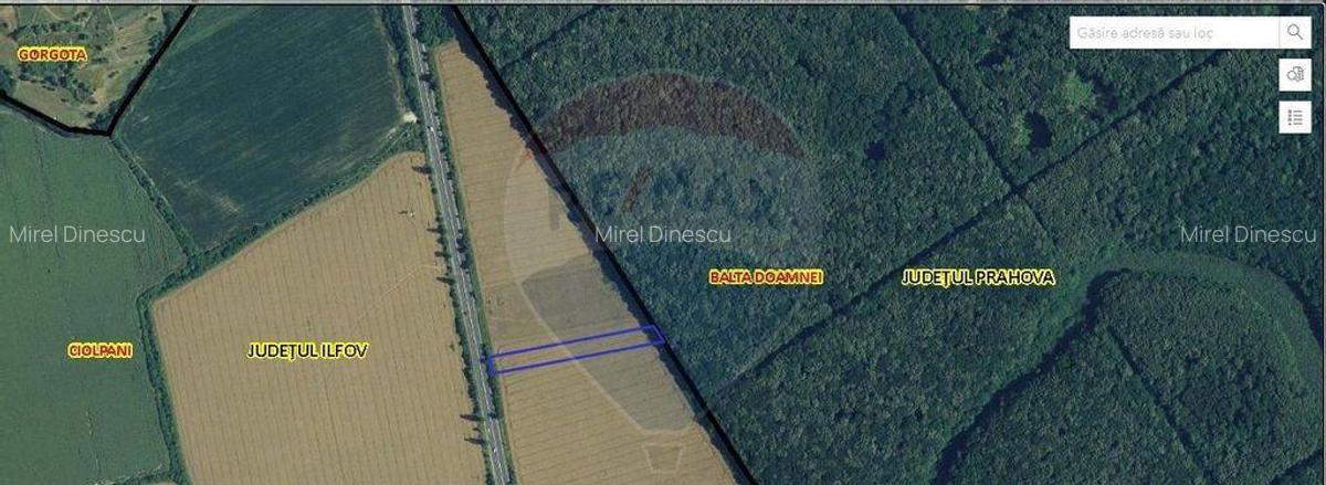 Teren Ciolpani 6000 mp DN1 PORTICO VENUE - 2