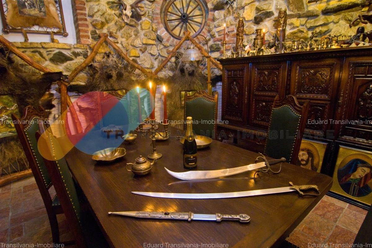 Exclusivitate si Istorie - Castelul Printul Vanator din Turda - 19