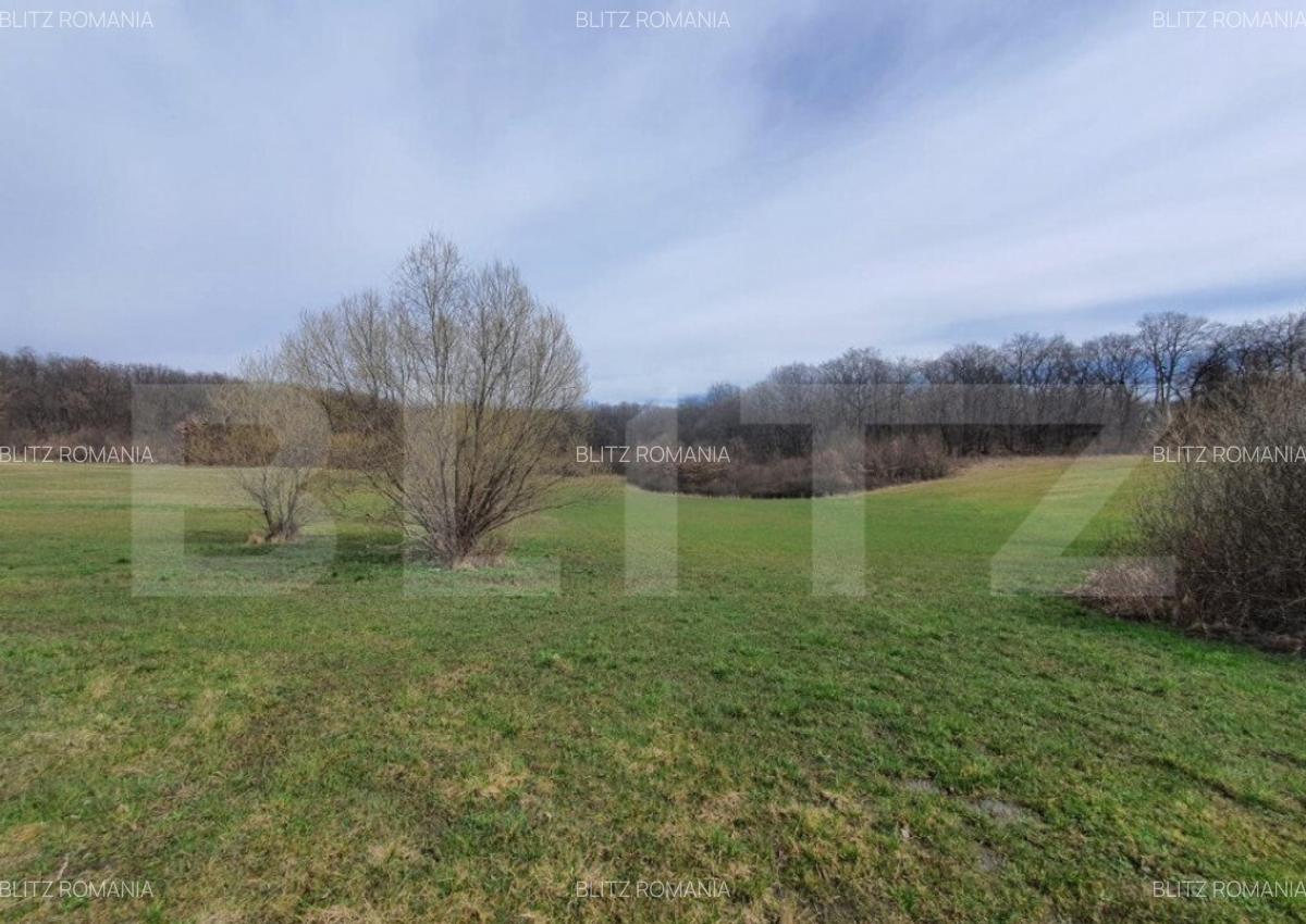Teren de vanzare extravilan, 1ha, drumul Sigmirului - 2