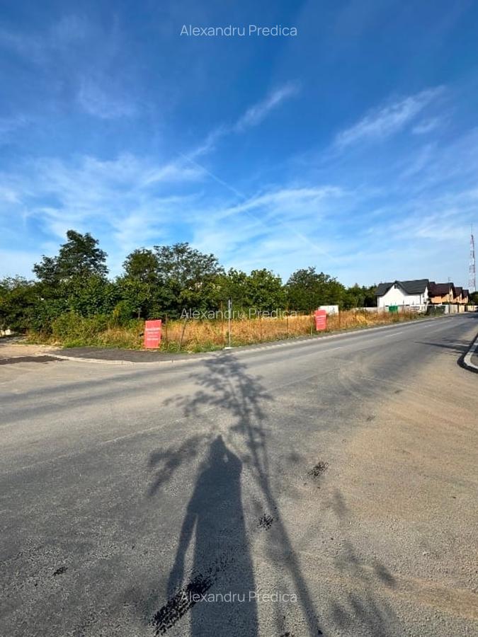 Proprietar închiriez teren cu deschidere către Parcul Ghidiceni - 3