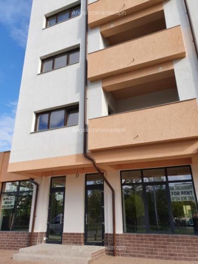 Spatiu comercial parter de inchiriat - 73 mp - 600 €/lună - Showroom Bloc DC5, Ramnicu Valcea - 5