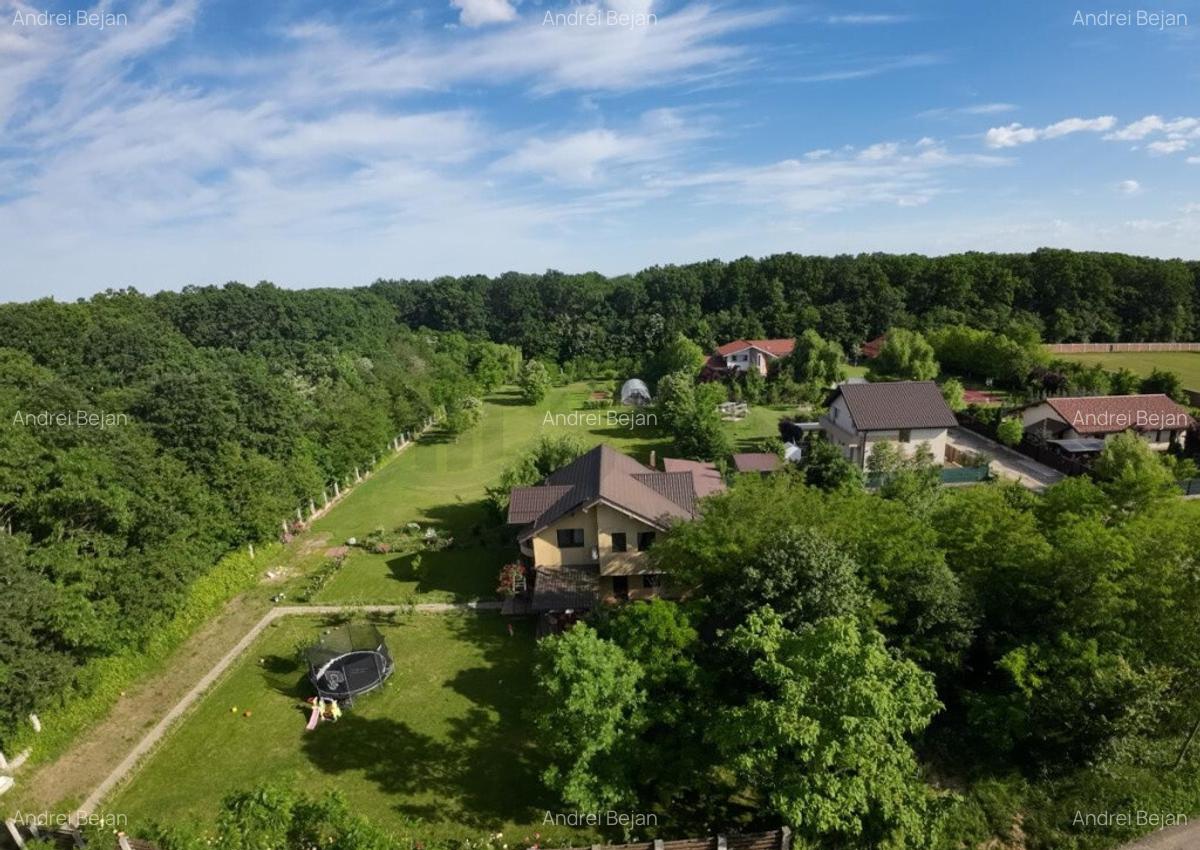 Teren intravilan in padure 3000mp cu Livada si imprejmuit - 3