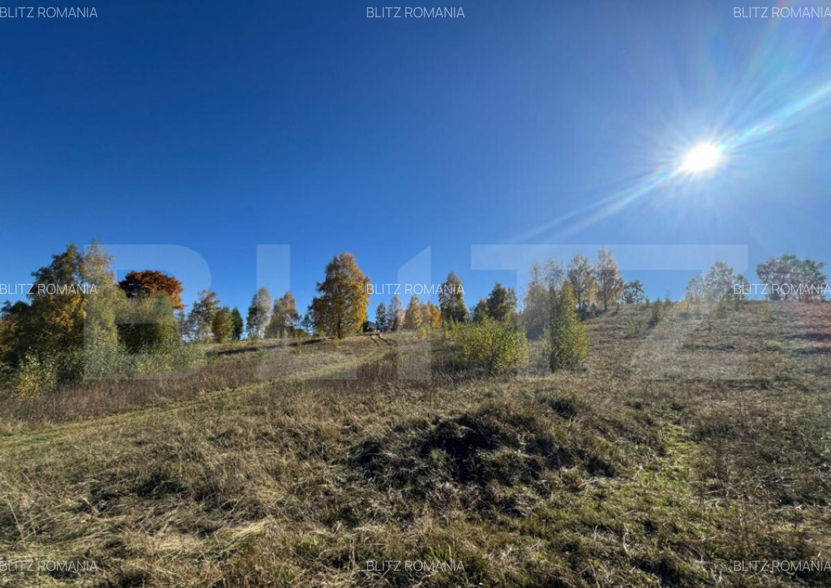 Teren extravilan 9.575 mp - 2