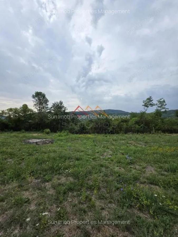 Teren Intravilan, utilitati in zona, 2600 mp, Draganeasa, Prahova - 1