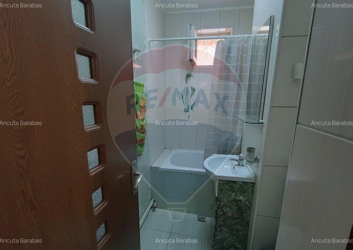 Apartament Pet friendly cu 3 camere de inchiriat - 8